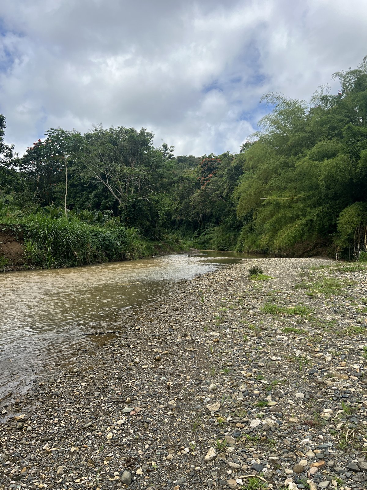 Finca Candelaria