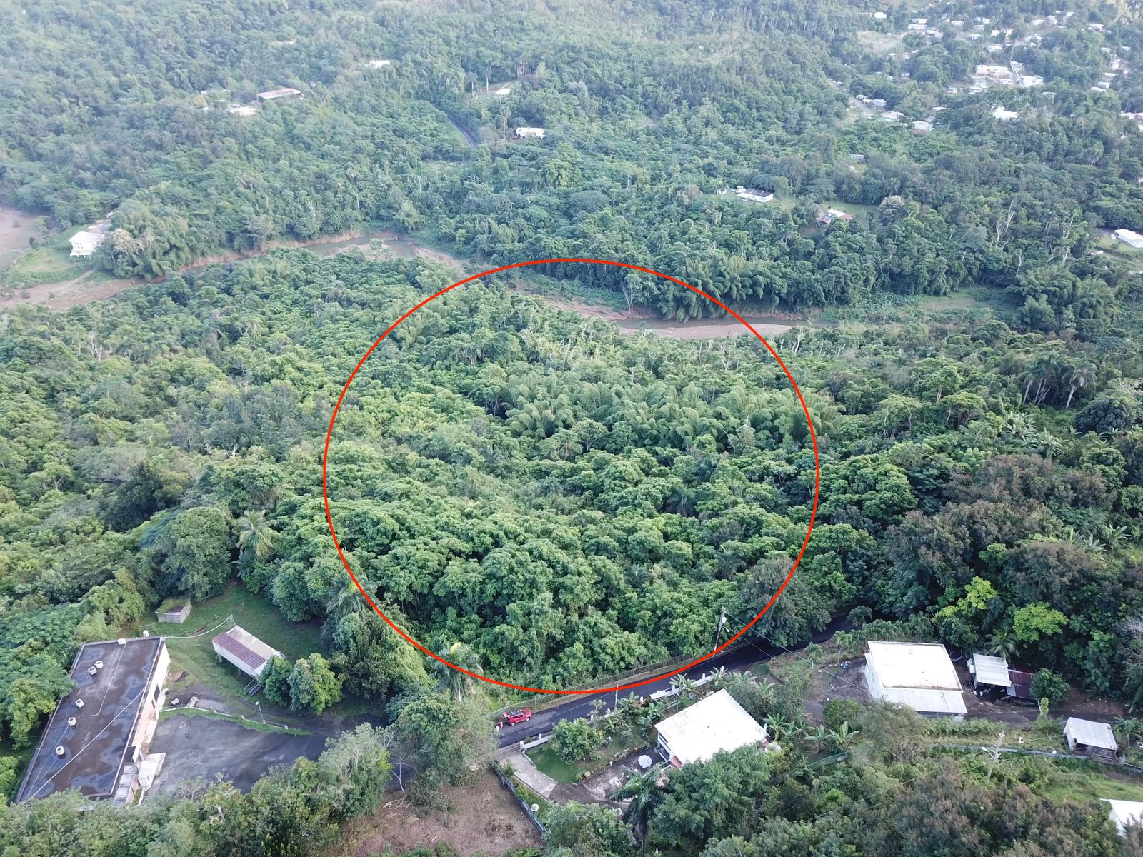 Finca Candelaria