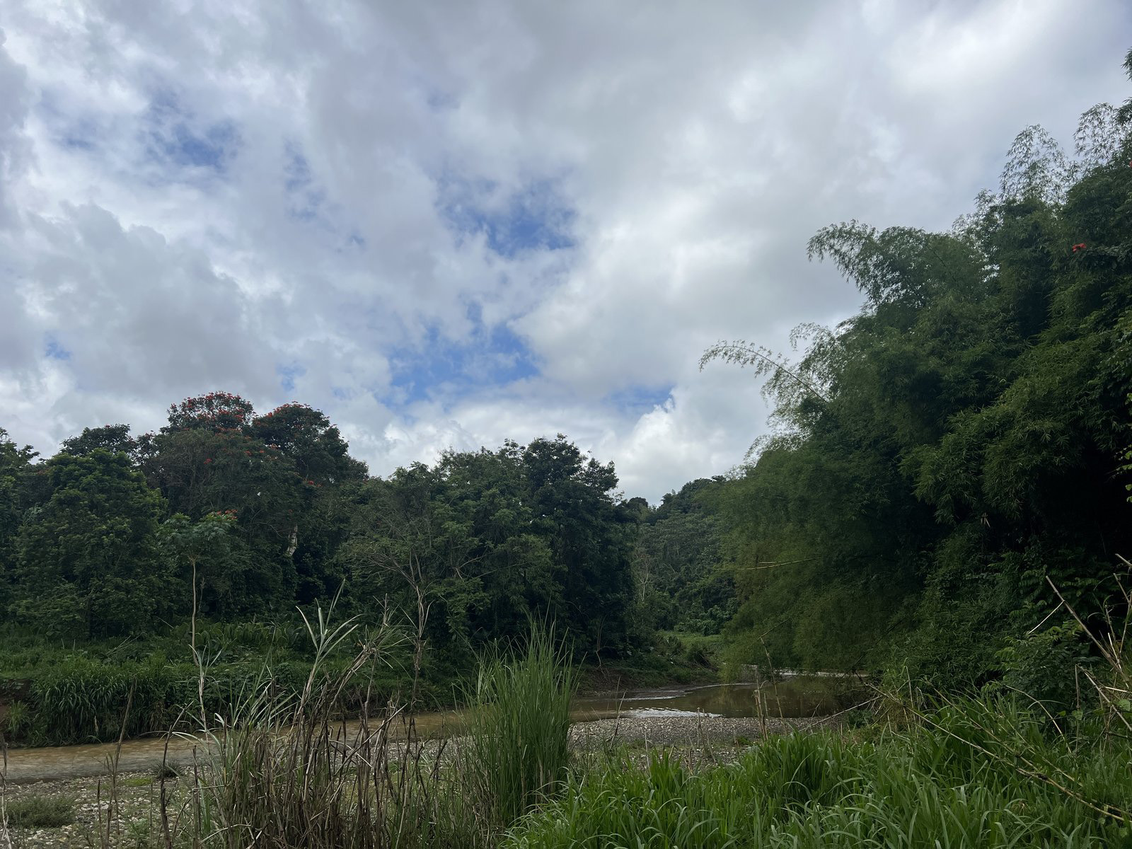 Finca Candelaria
