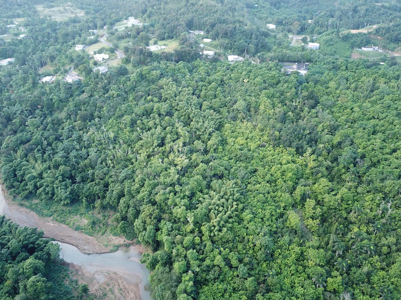 Finca Candelaria